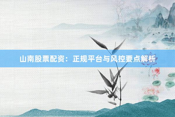 山南股票配资：正规平台与风控要点解析